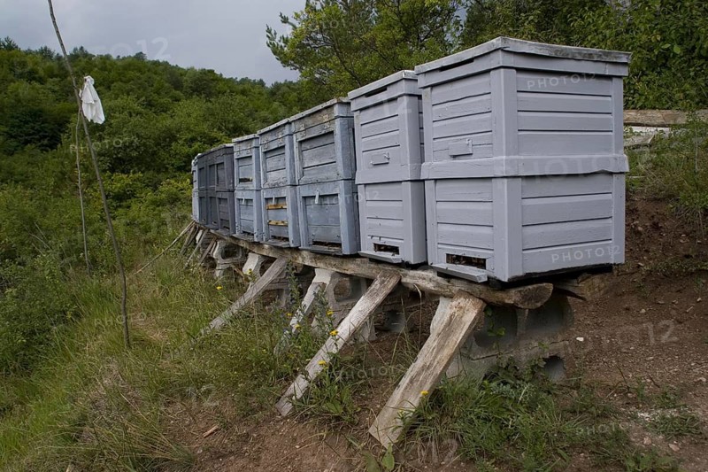 Beehives
