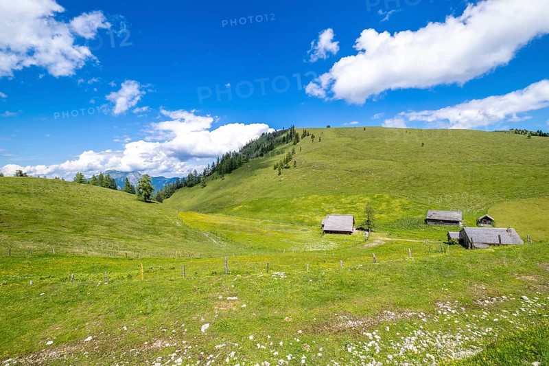 Postalm in the Salzkammergut
