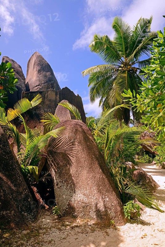 Palm trees and granite rocks on the dream beach Source d'Argent