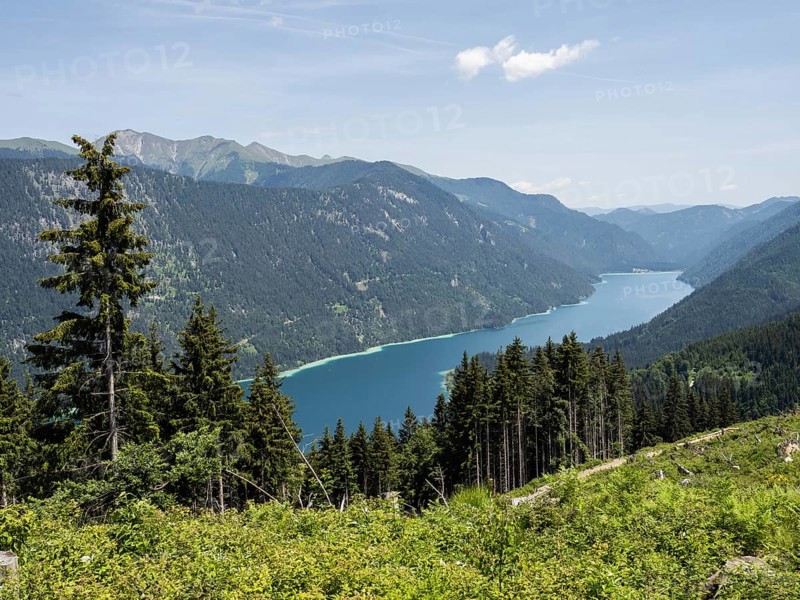 View from the Naggler Alm to the Weissensee