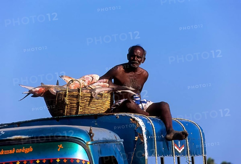 Fisherman sitting on the top of the van with a basket full of fish in Dhanushkodi or Danushkodi