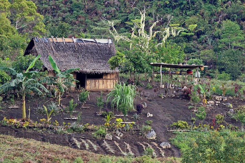 Subsistence farmhouse and garden
