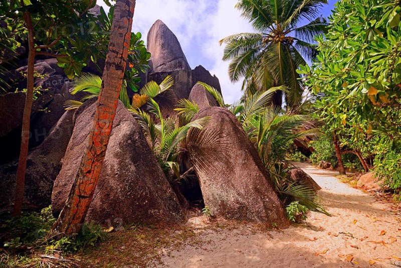 Palm trees and granite rocks on the dream beach Source d'Argent