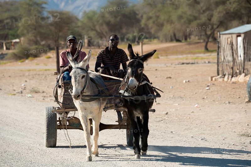 Donkey cart