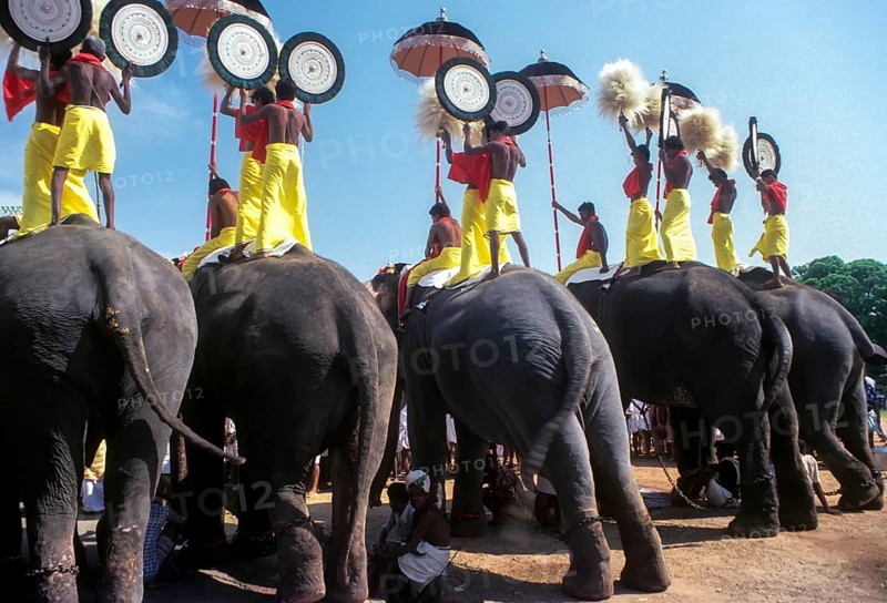 Pooram festival in Thrissur or Trichur