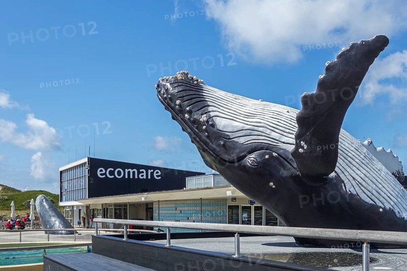 Sculpture of a humpback whale