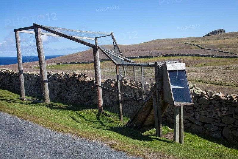 Heligoland trap