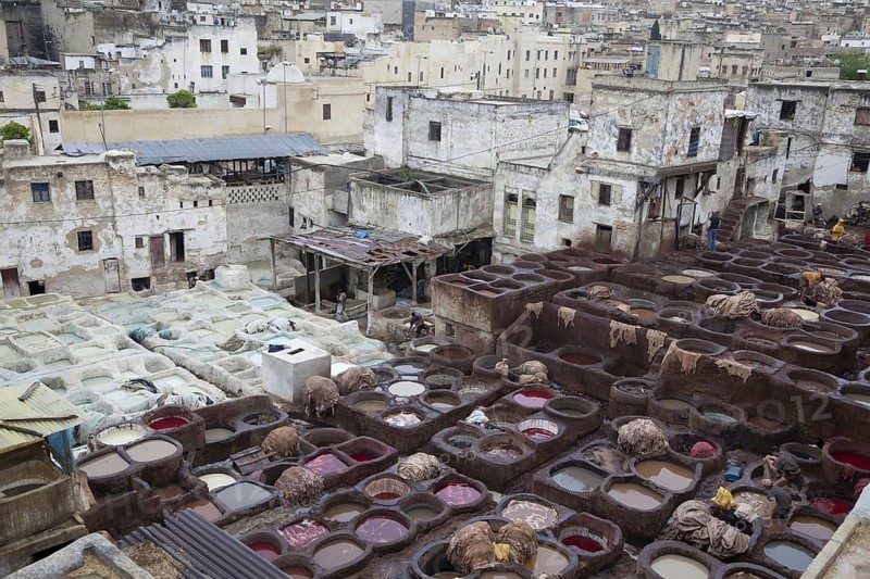 Leather tannery in city