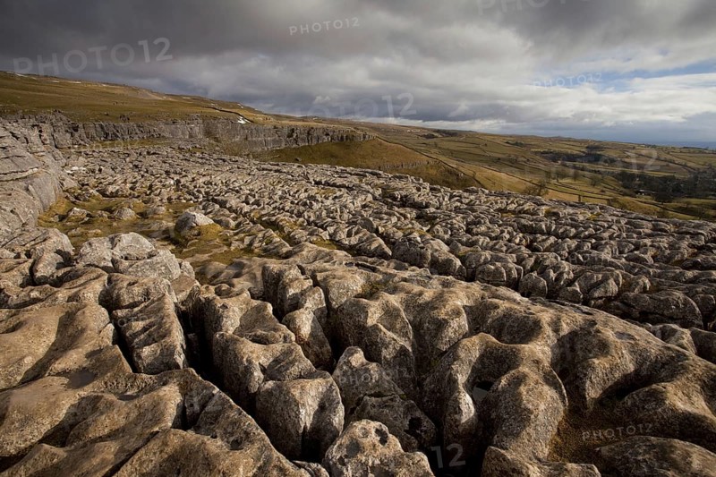 View of limestone pavement in upland landscape