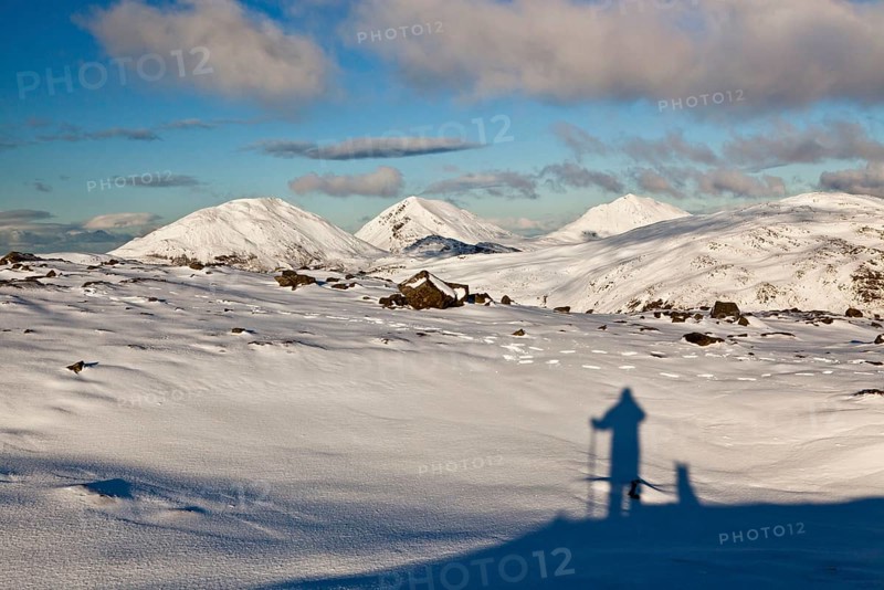 Shadows of man and dog looking at snow-capped mountain peaks
