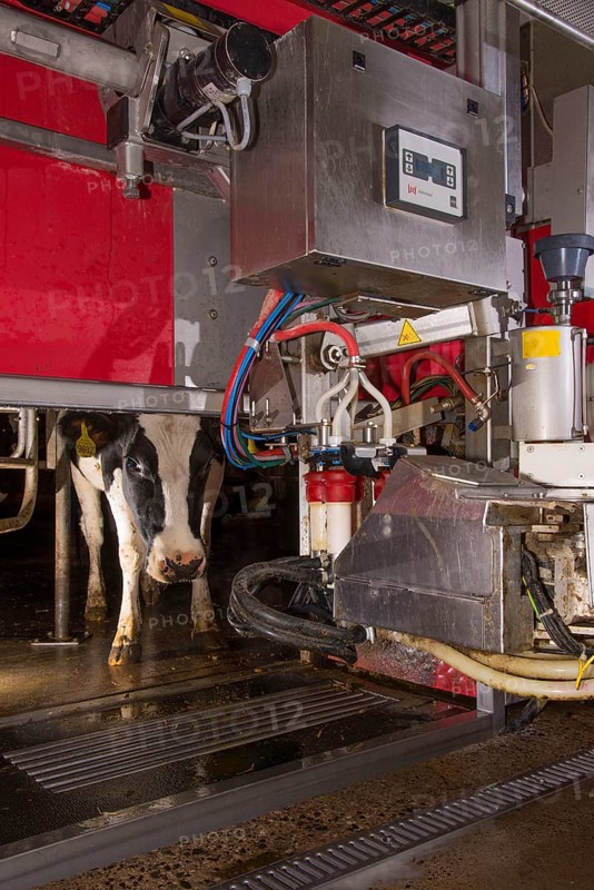 Dairy farming