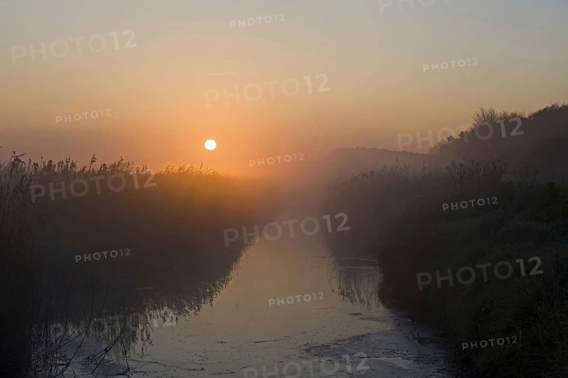 Dyke at the edge of the reedbed at dawn