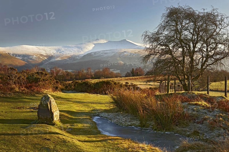 Standing stone on Highland common in the evening
