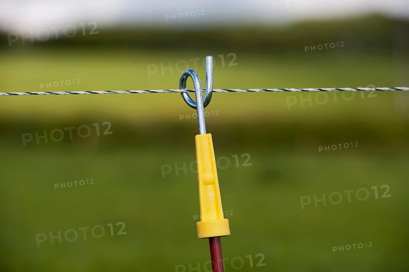 Electric fence set up along farm track to keep dairy cattle on