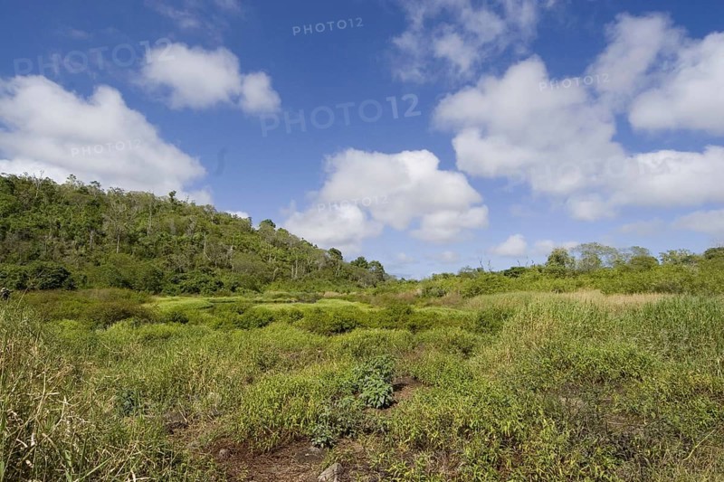 Highland Turtle Reserve on Santa Cruz Island