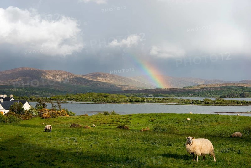 Rainbow at Blackwater