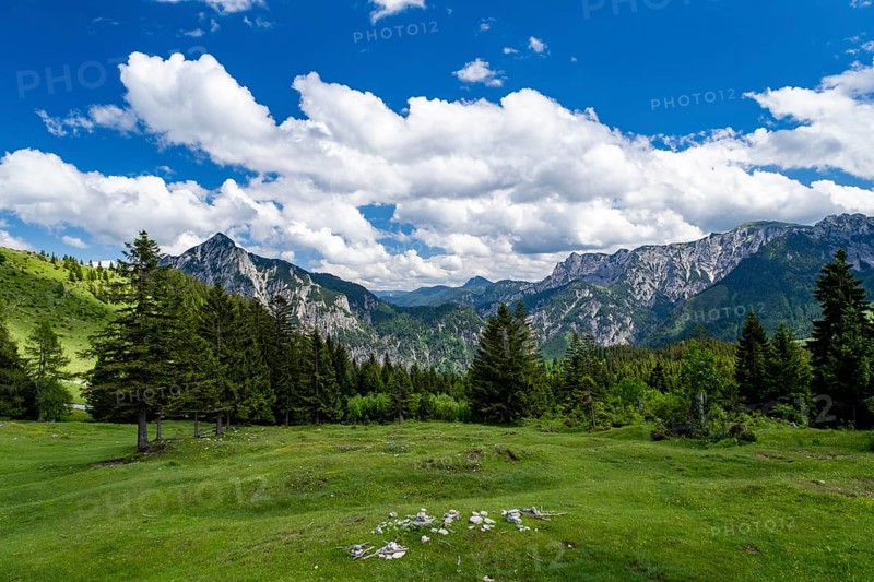 Postalm in the Salzkammergut