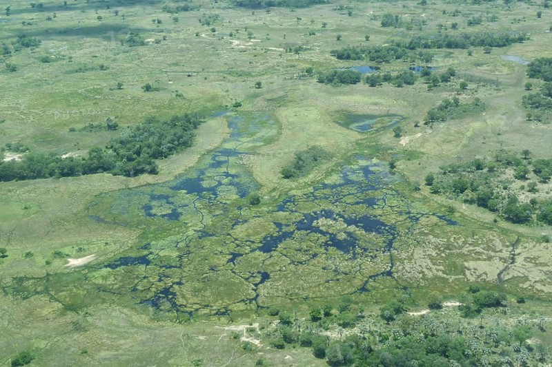 Wetlands