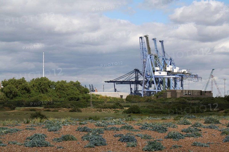 Dock cranes and vegetated shingle habitat