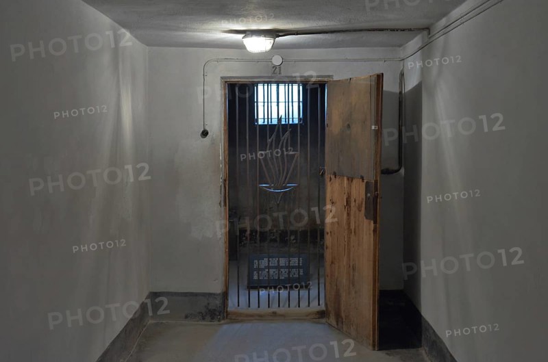 Cell