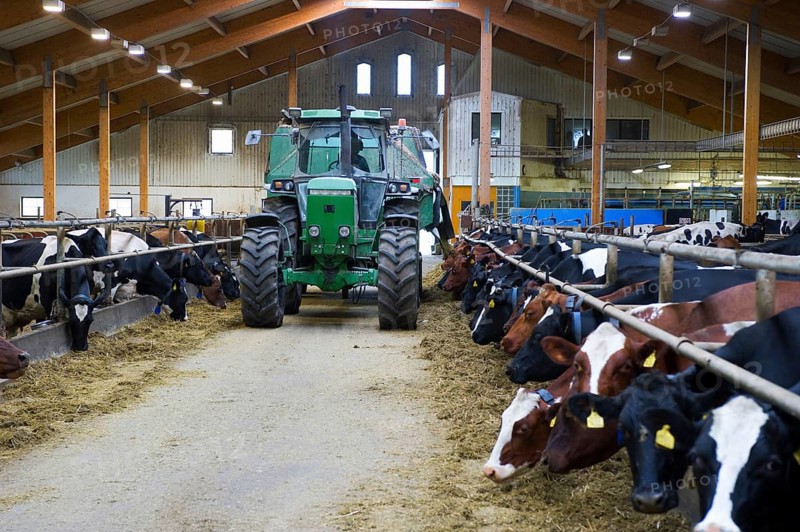 Dairy farming