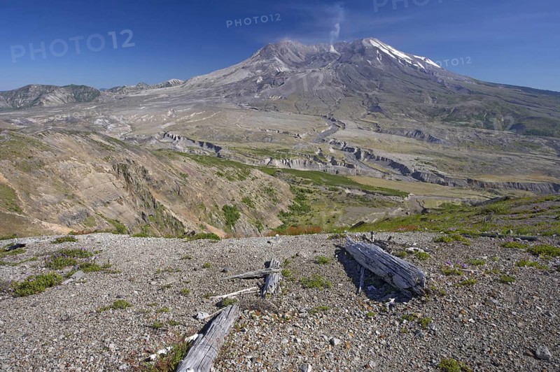 View of regenerating vegetation and volcano in the distance