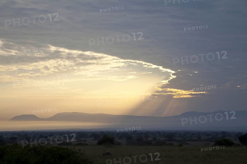 View of sunbeams over savannah landscape at sunrise