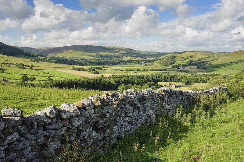 View of dry stone wall