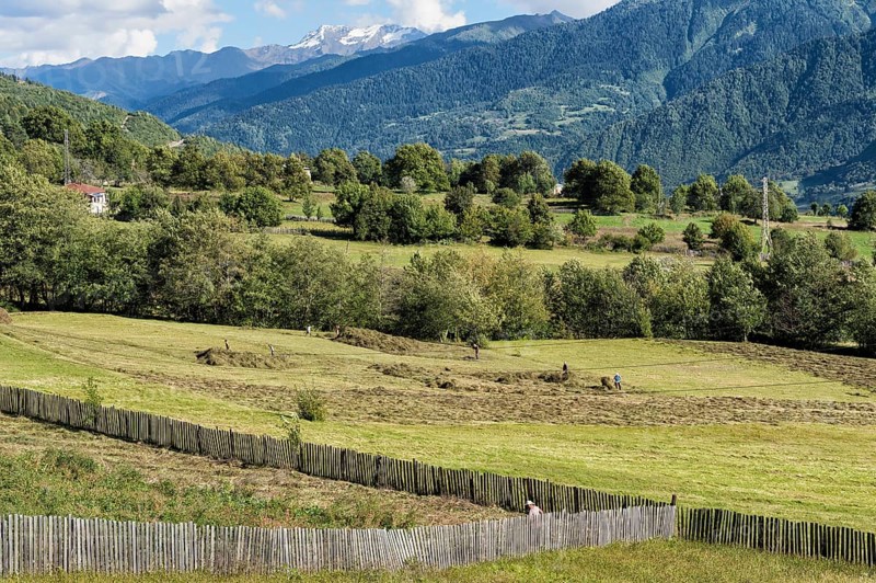 Georgian people at work in the field