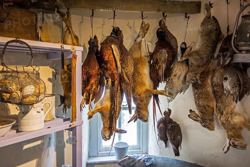 Reconstructed 1930s store room with game such as rabbits