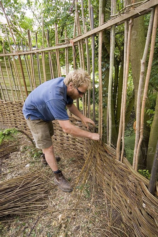 Building a willow garden fence
