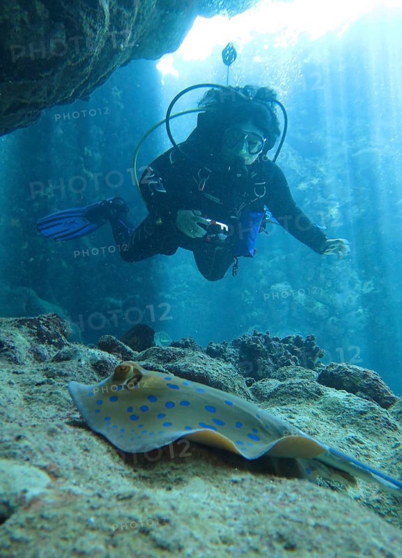 Diver