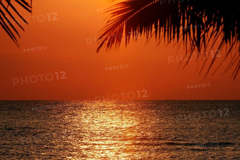 Hmmel just in front of sunset