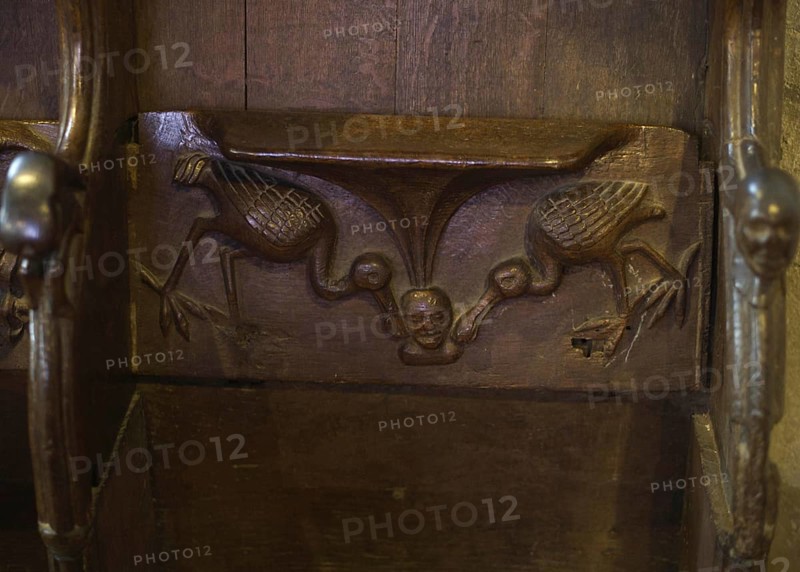 Misericord depicting spoonbills