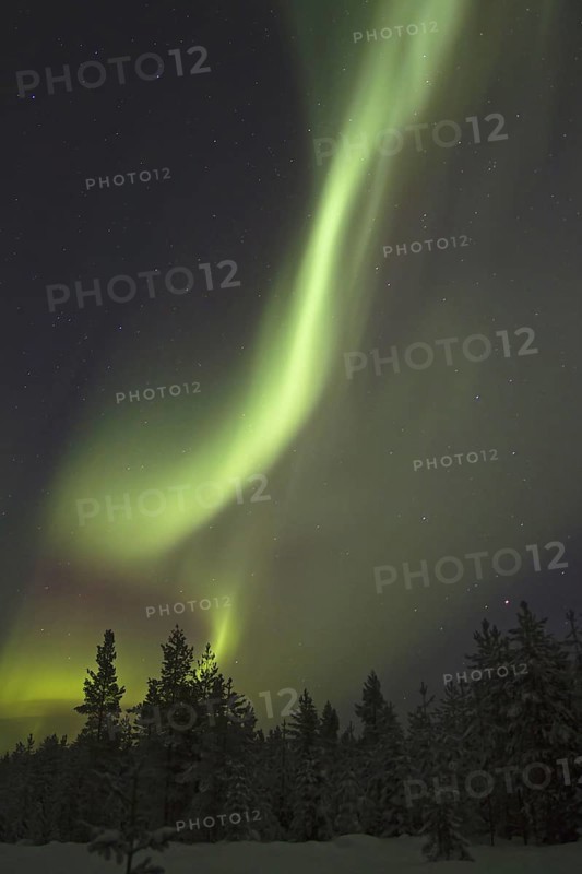 Aurora Borealis
