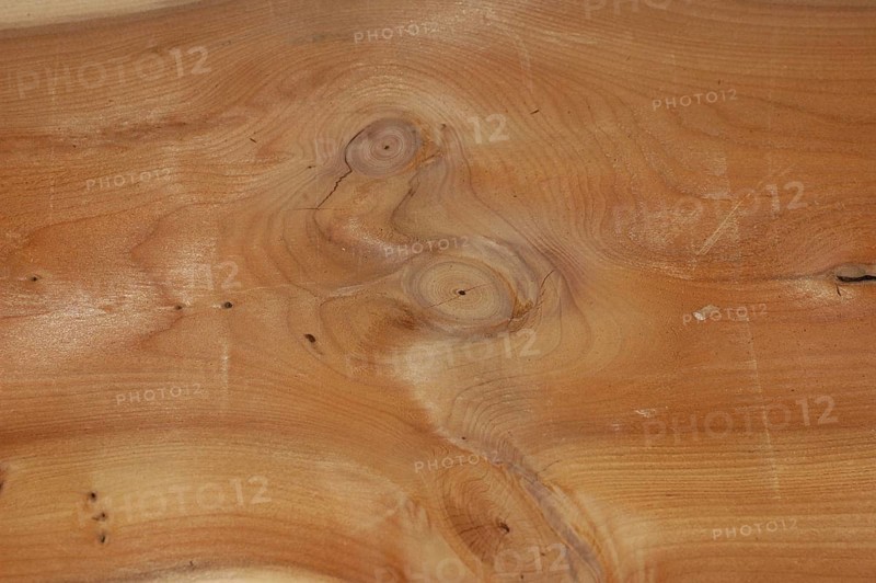 Yew wood