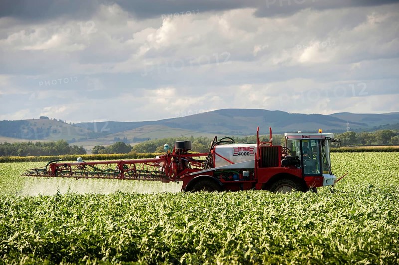 Spraying a potato