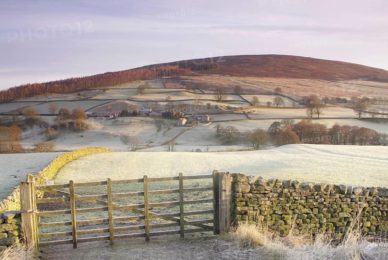 View of frosty gate