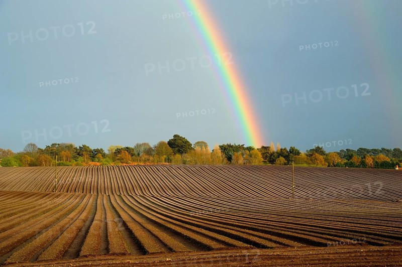 Rainbow over trees and arable field with furrows