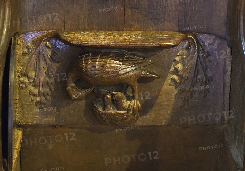 Misericord depicting 'Pelican in their piety'