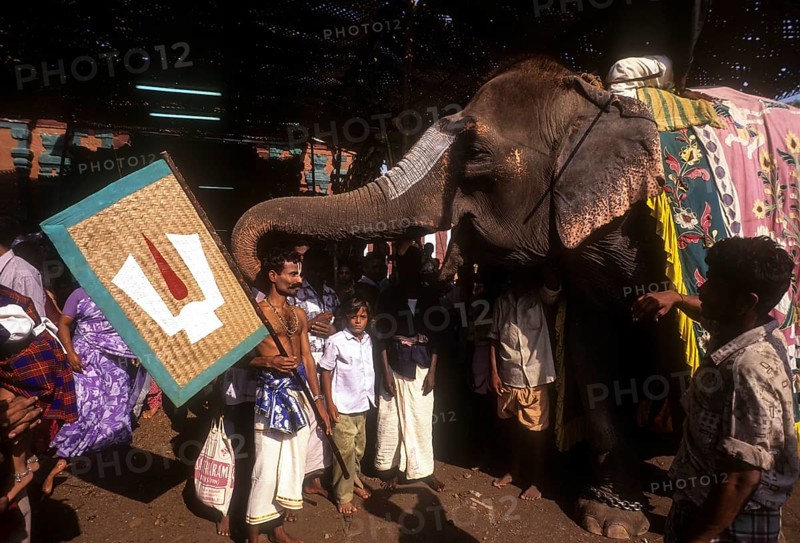 A Vaishnavite devotee blessed by a temple elephant during Chithirai or Chitra festival in Madurai
