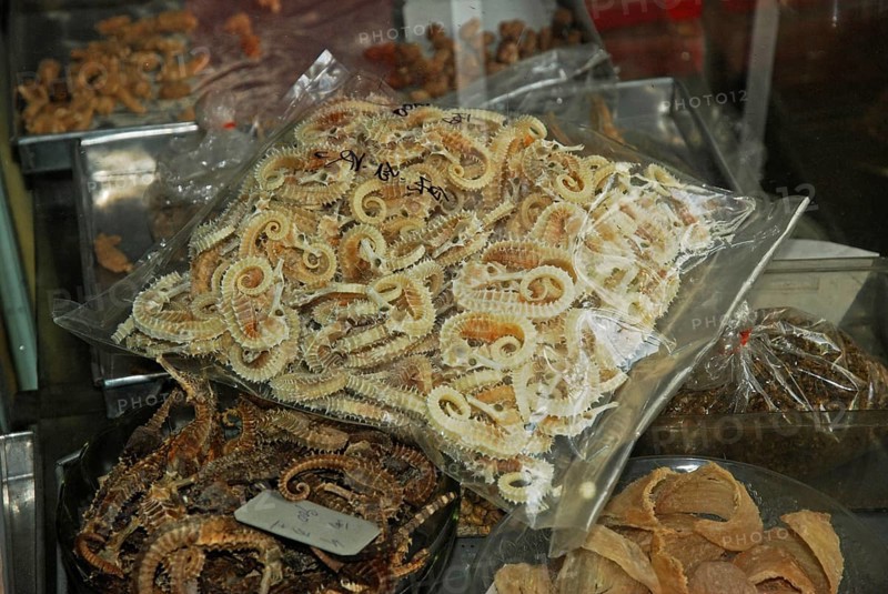 Seahorse used as an aphrodisiac