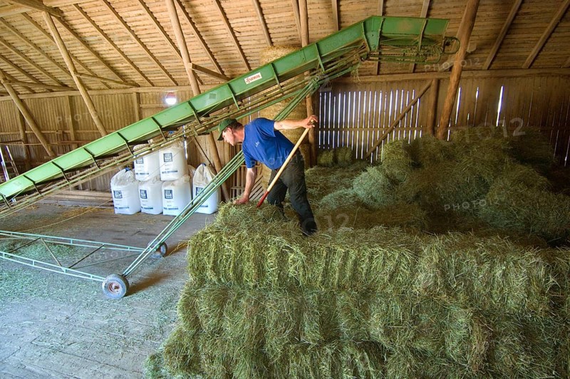 Farmer stacking small bales next to the lift in the barn