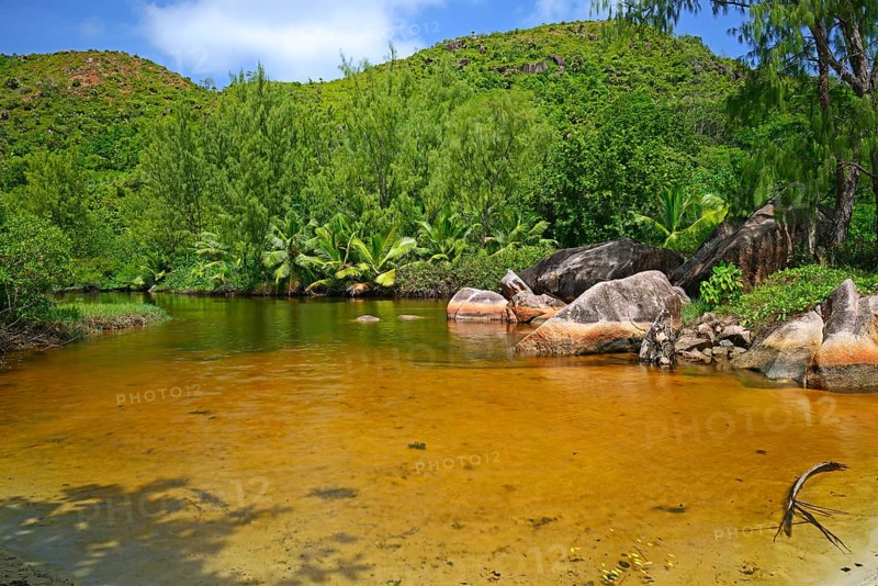 Brackish water lagoon on the beach of Anse Lazio