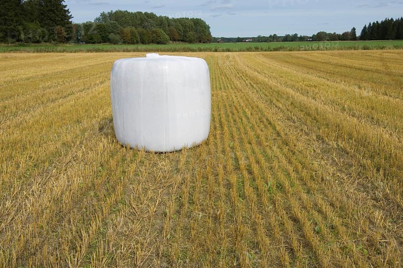 Straw in plastic wrapped round bales