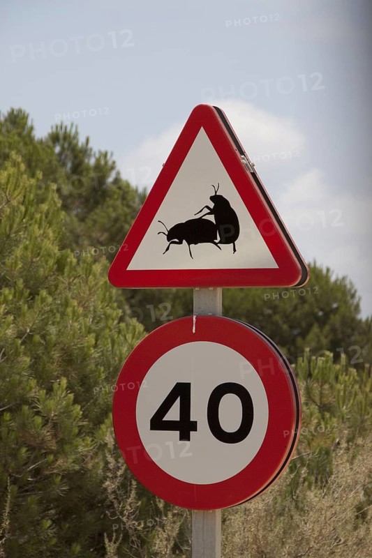 Road signs