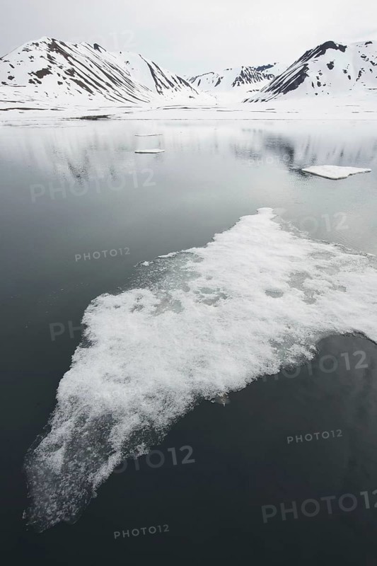 Drift ice near the coast