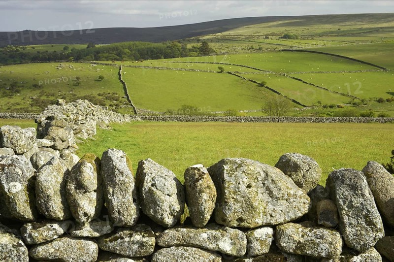 Dry stone walls and pasture in a fertile valley with hilltop moorland habitat