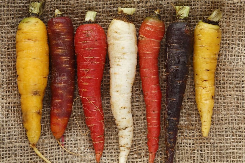 Carrots