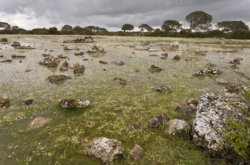 Shallow natural lake